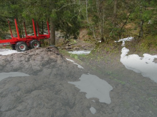Ablagerung von Düngemitteln im Pufferstreifen entlang eines Wasserlaufs, Val d'Illiez, 2018 (Foto: S. M.)