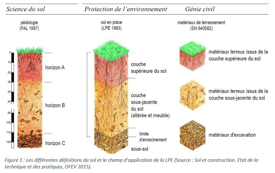 Informations Générales