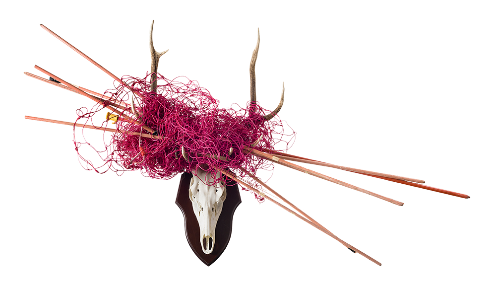 Trophée de Cerf de l'Anthropocène où les frontières entre nature et culture sont désormais brouillées; provenance Vercorin </br>© Musées cantonaux du Valais, Sion: M. Martinez