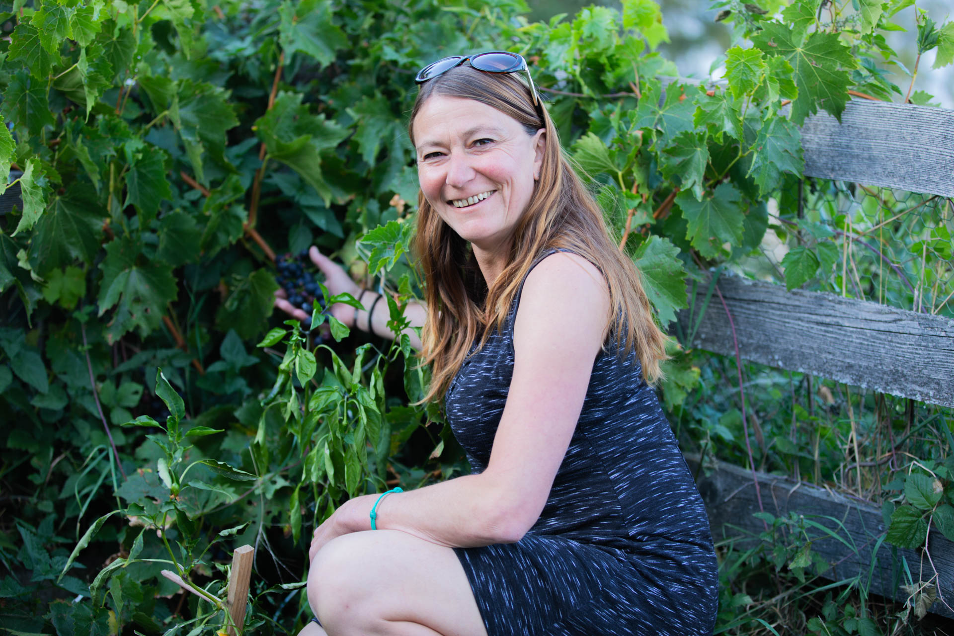 Dans le jardin d’Isabelle Theytaz Reuteler, situé à 1300 m d’altitude, même les ceps de vignes s’épanouissent.