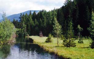 Marais de Champex