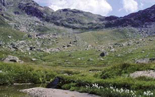 Moorlandschaft «Albrun» und Flachmoor «Oxefeld» sowie «Blatt»