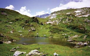 Marais d’Oberwald: Bärfel, Triest, Blasestafel et Mutterseewji