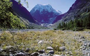 Auen im hinteren Teil des Val d’Hérens