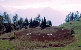 Tourbière de Flesch