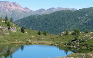 Haut-marais Simplon-Hopschusee