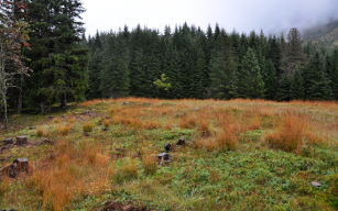 Tourbière de Barme